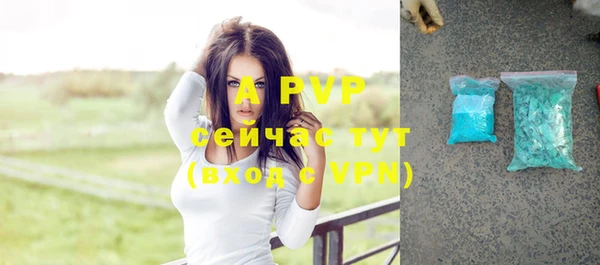 гидра Аркадак
