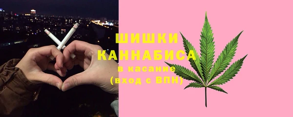 гидра Аркадак