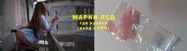 гидра Аркадак